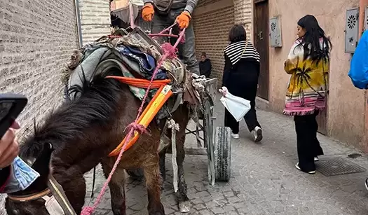 Culorile si farmecul Marrakech-ului