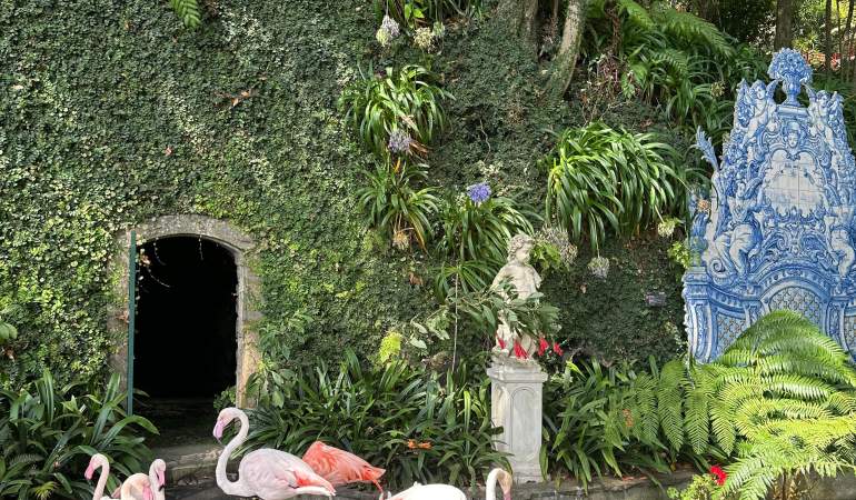 Magia Madeirei, unde distractia in familie intalneste aventura pe insula