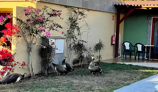 Schimba zapada cu nisipul. Iarna in Grand Canaria