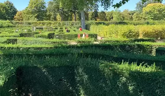 Cum sa distrezi copiii in Viena